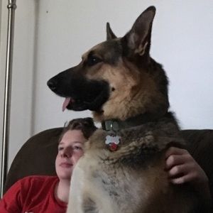 Meet your Posher, Kim